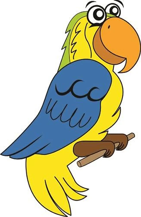 Tropical Bird