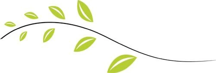 Green Vine