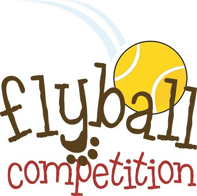 Fly Ball Competition