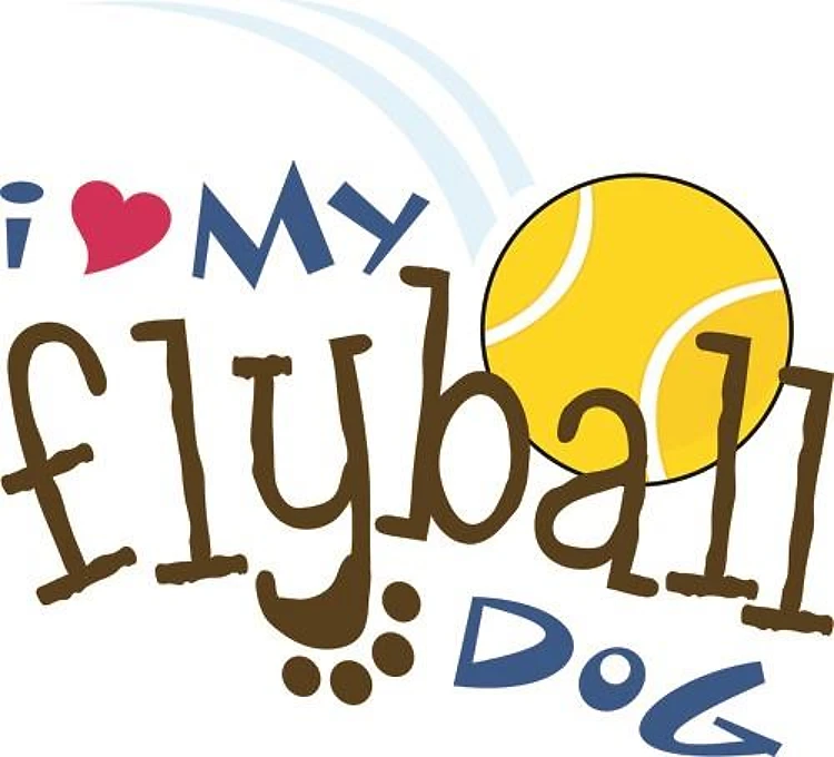 Fly Ball Dog
