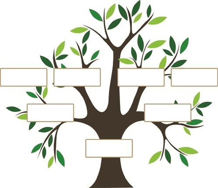 Family Tree