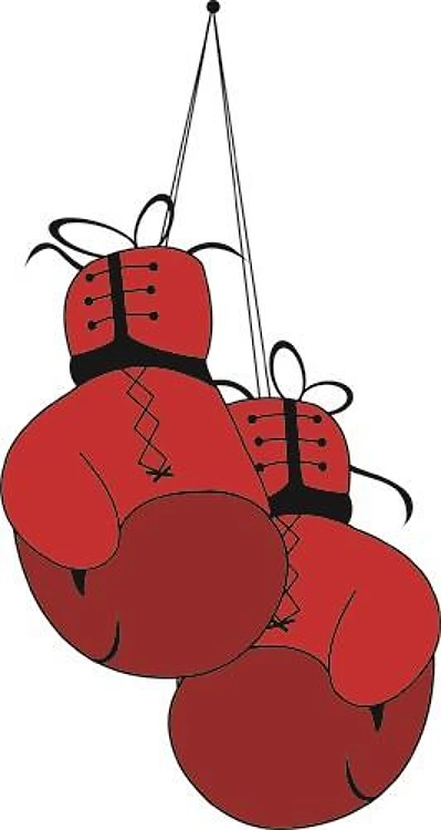 Boxing Gloves