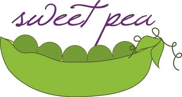 Sweet Pea