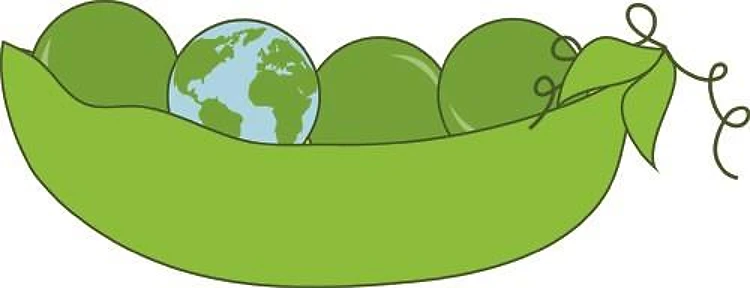 Green World Peas