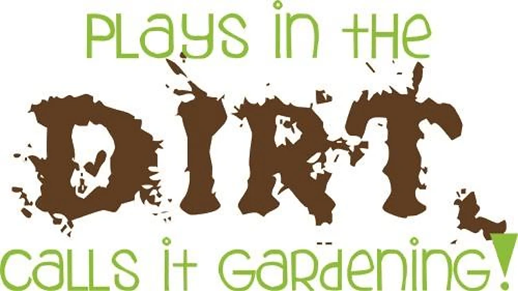 Plays In The Dirt