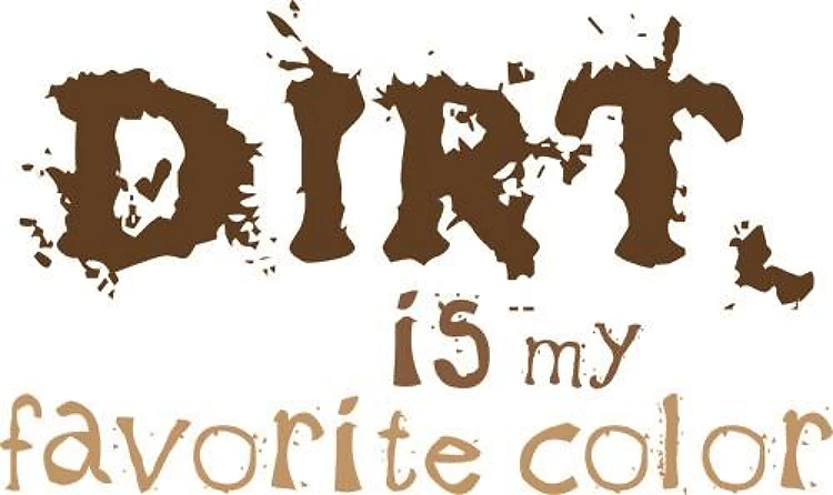 My Favorite Color