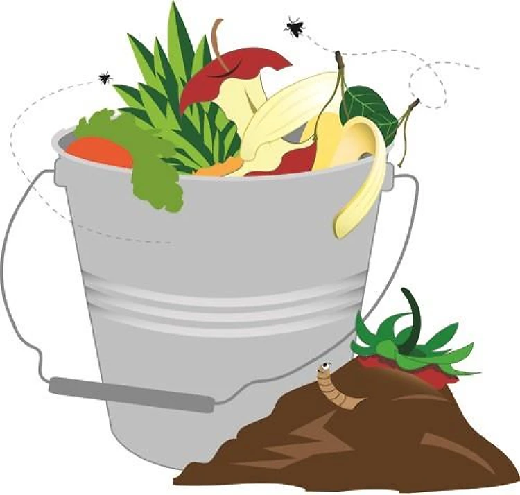 Compost Bucket