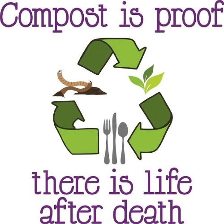 Life After Death