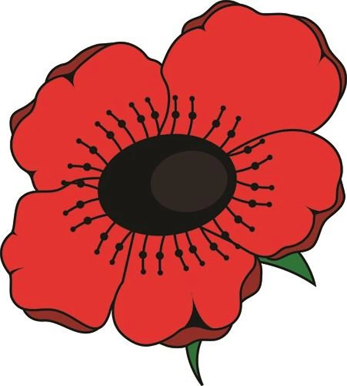 Poppy Flower