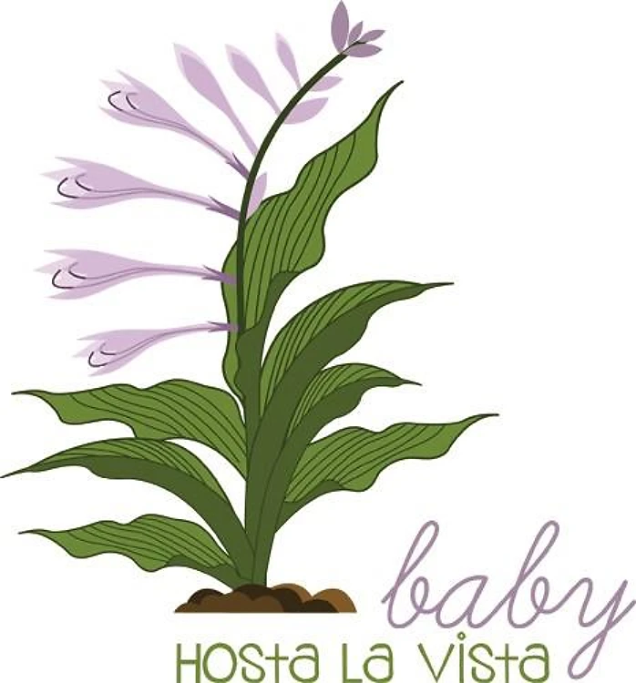Hosta La Vista