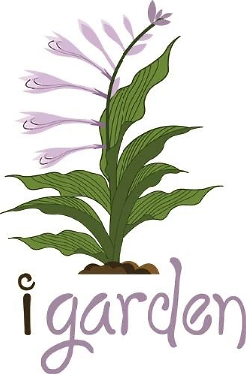I Garden