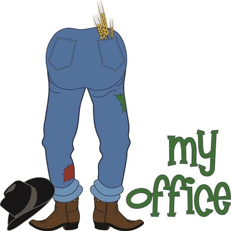 My Office