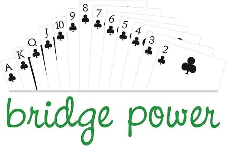 Bridge Power