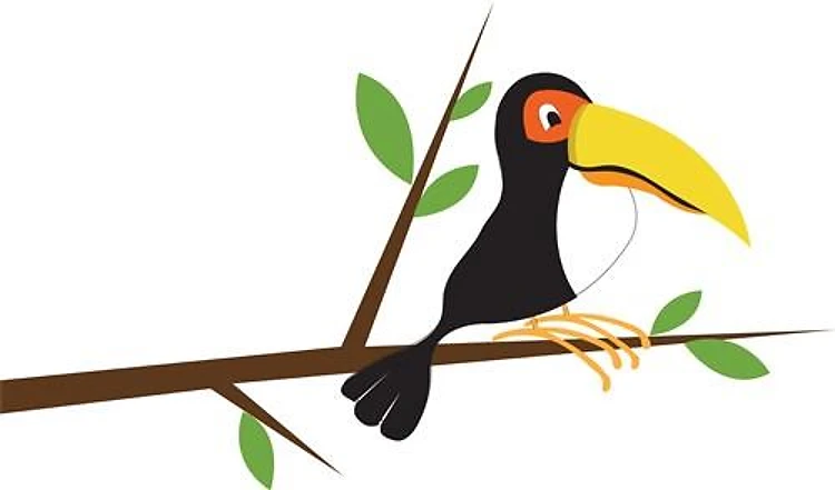 Toucan Bird