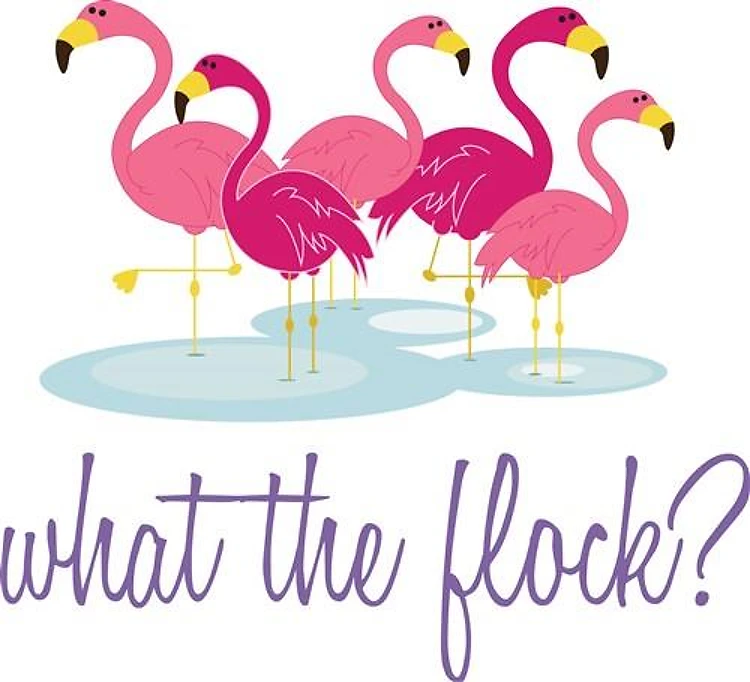 What The Flock