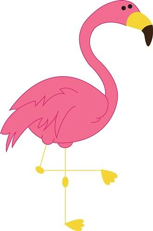 Pink Flamingo
