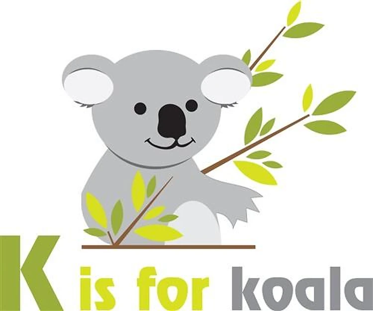 K Is For Koala