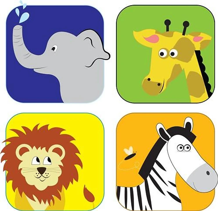Zoo Animals