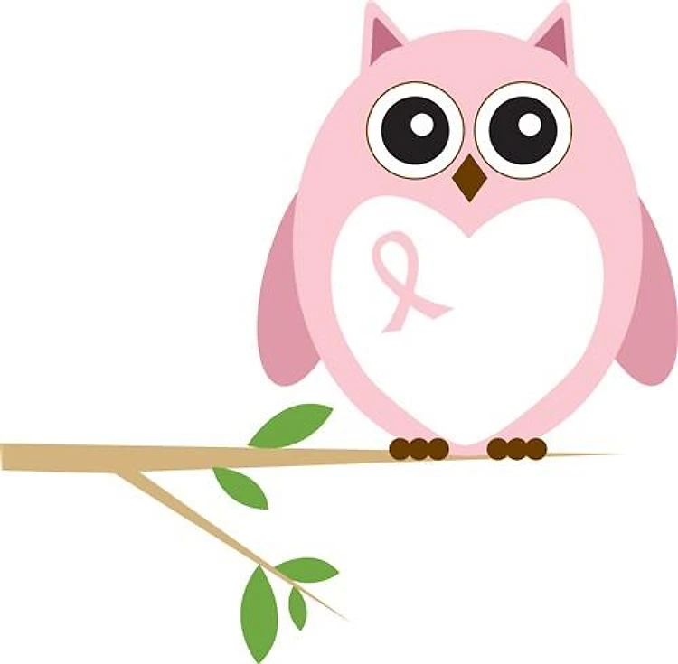 Cancer Awareness Owl