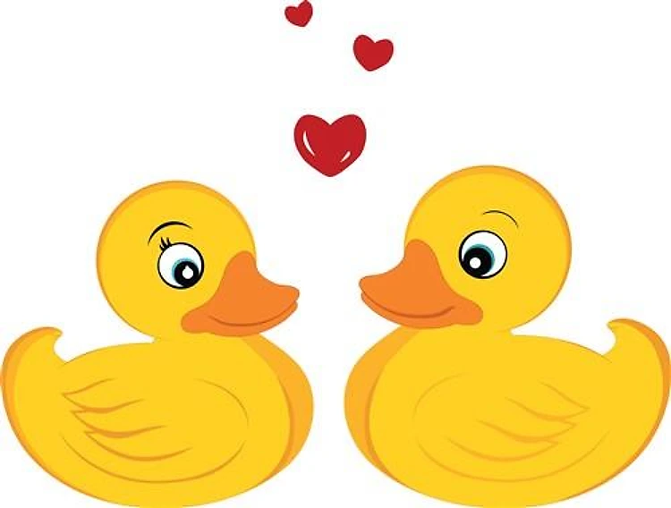 Love Ducks