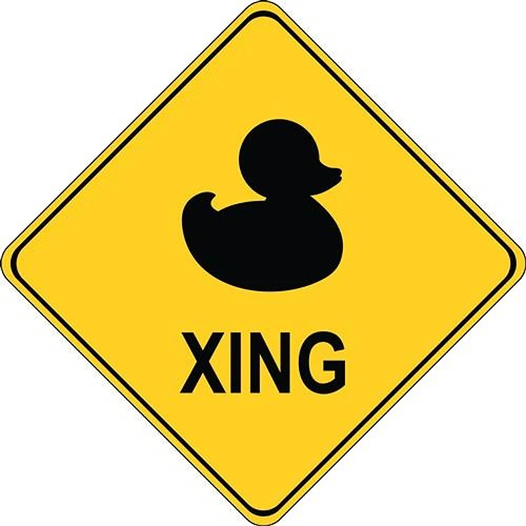 Duck Xing