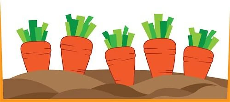 Carrots