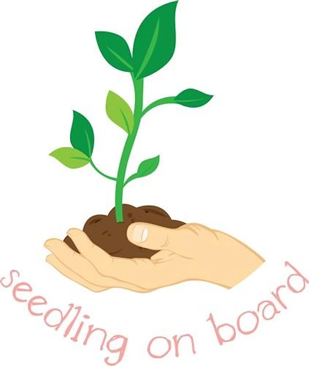 Seedling On Board