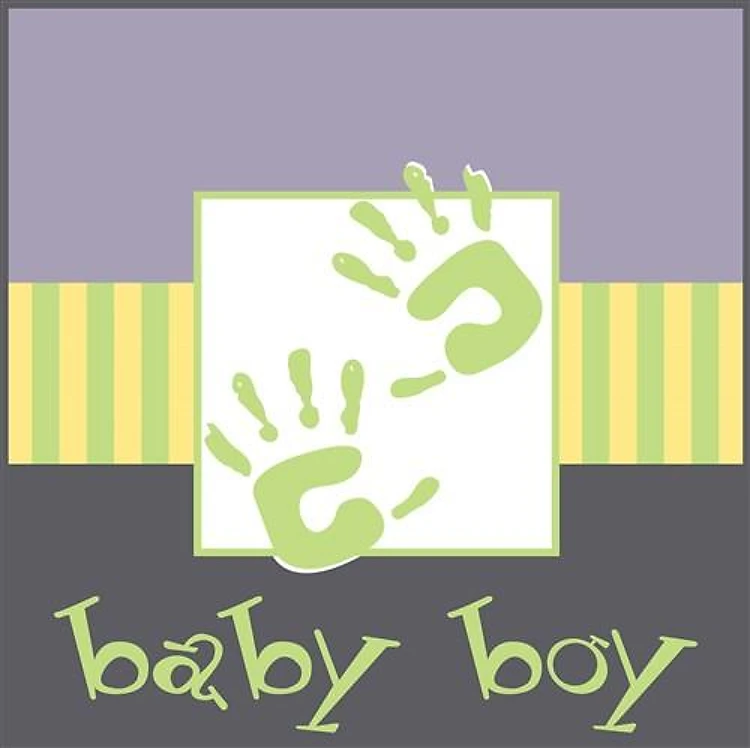 Baby Boy Hands