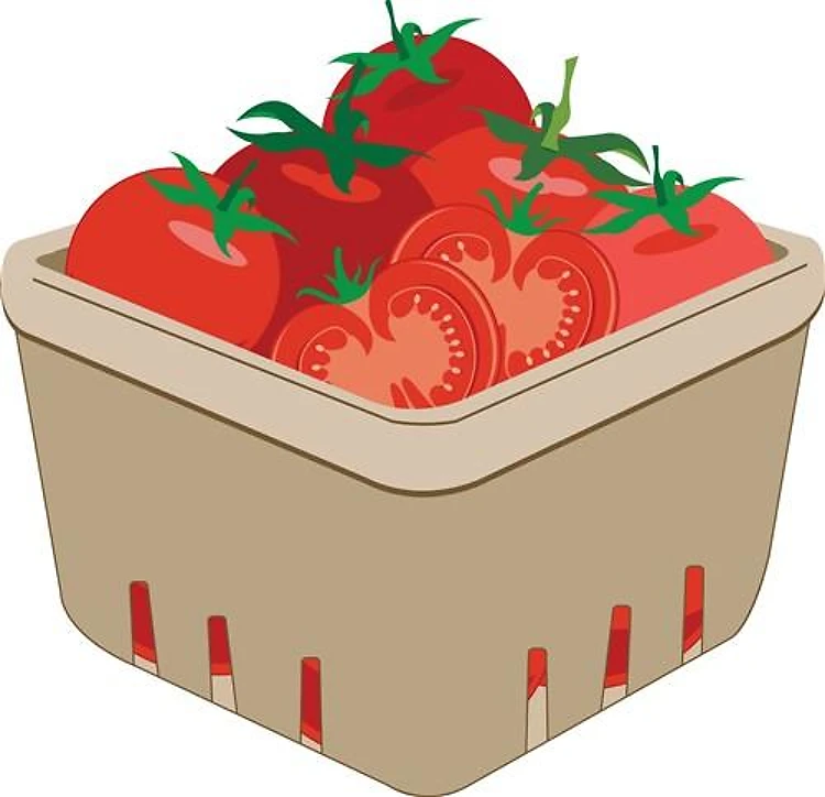 Basket of Tomatoes