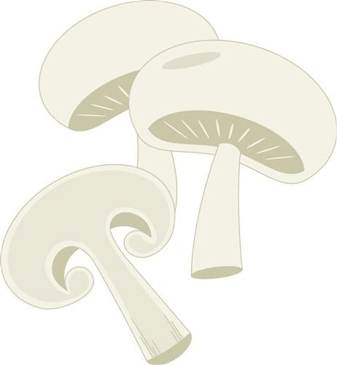 Mushroom Slice