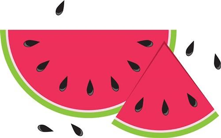 Watermelon Slices