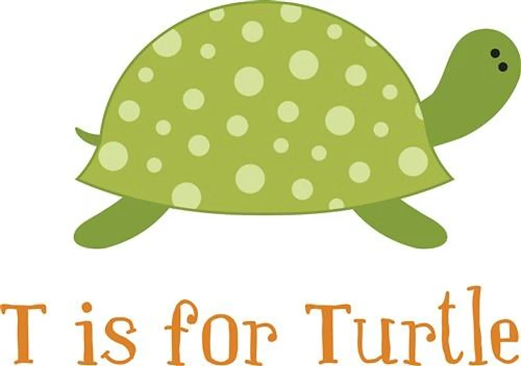 T Is For Turtle
