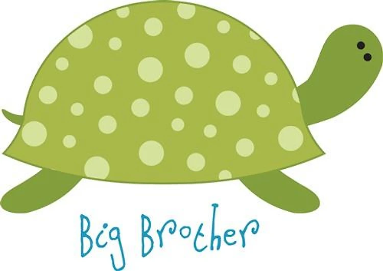 Big Brother Turtle