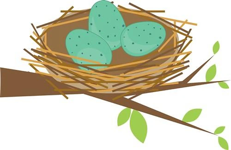 Bird Nest Eggs
