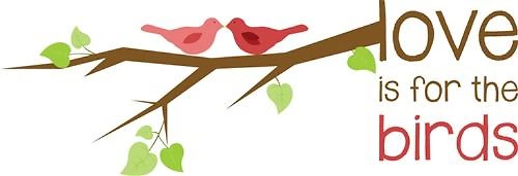 Love Is For The Birds