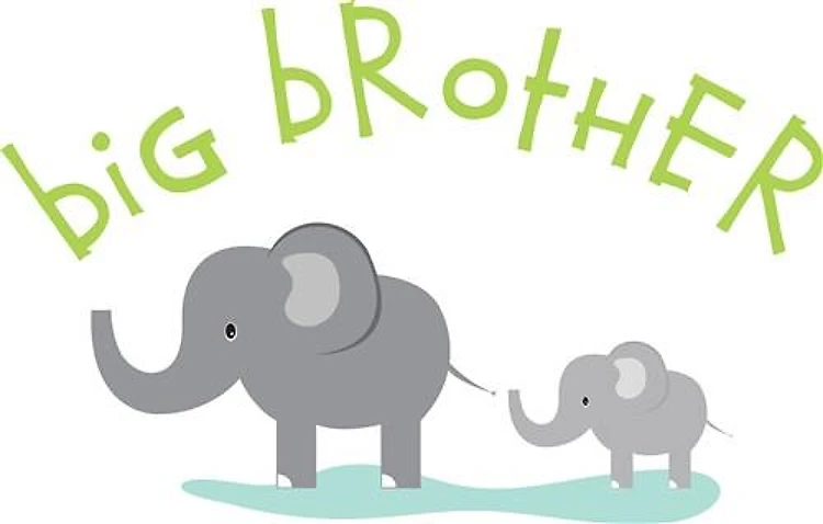 Elephant Big Brother