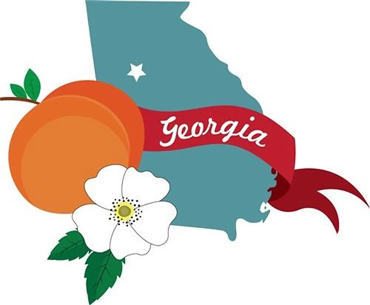 Georgia State