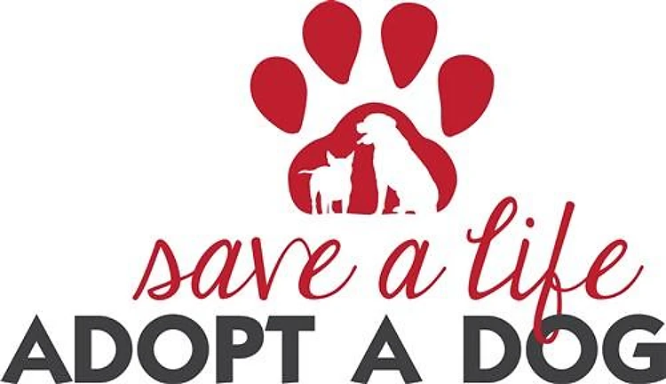 Adopt a Dog