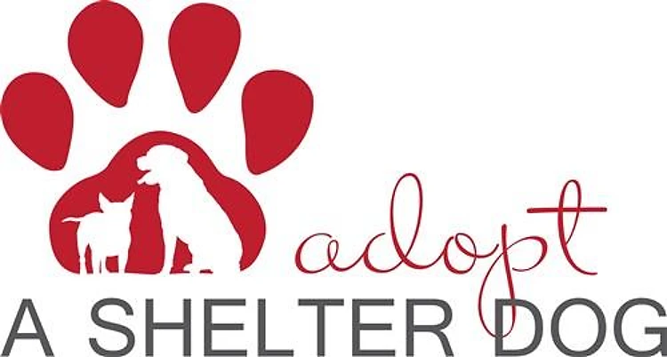 Adopt a Shelter Dog