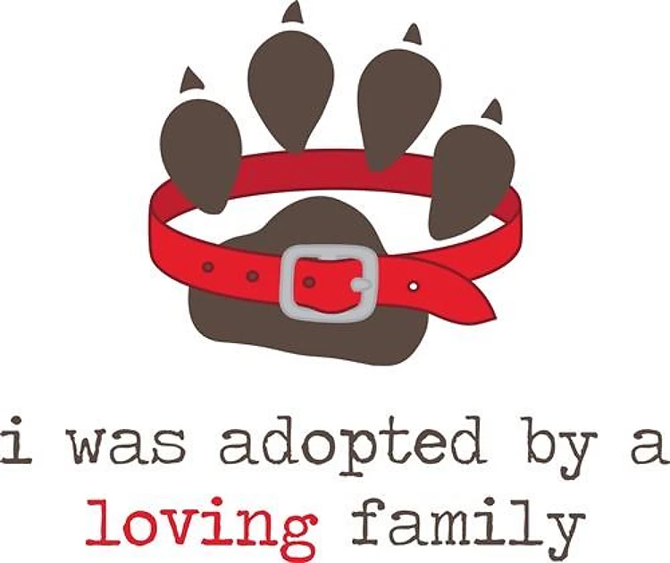 I Was Adopted