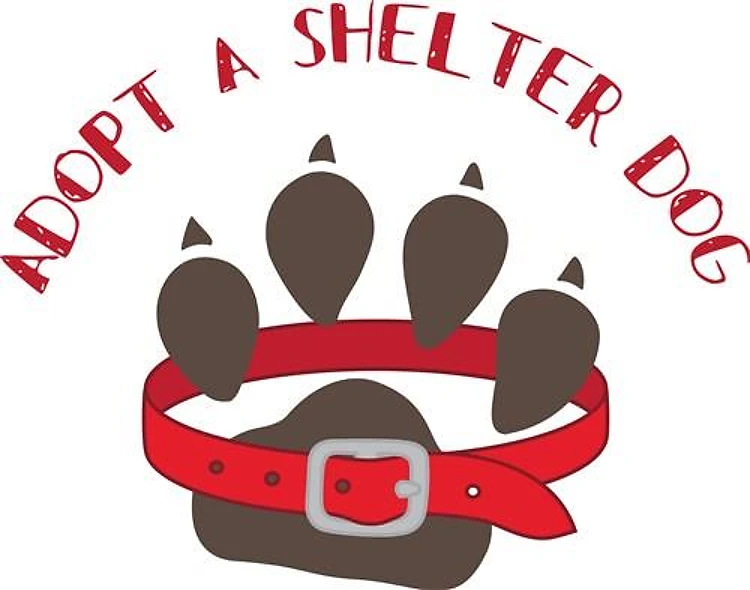Adopt a Shelter Dog