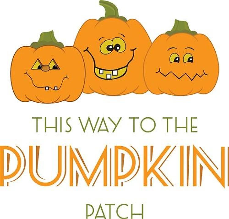 Pumpkin Patch