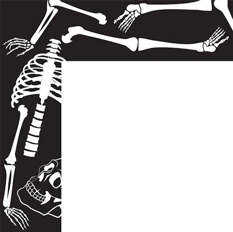 Skeleton Bone Border