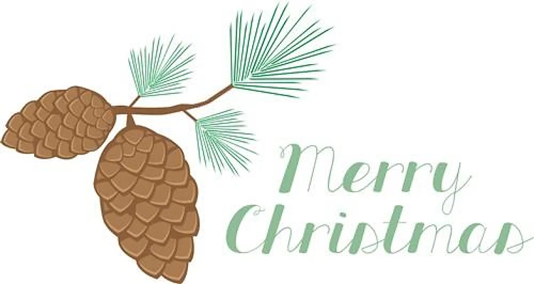 Christmas Pine Cone