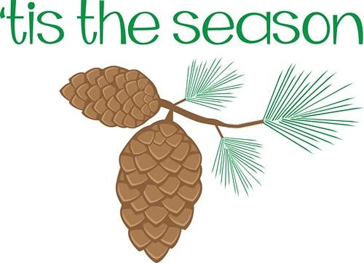 Tis The Season