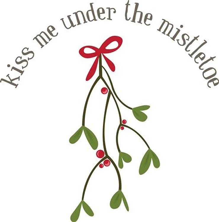 Mistletoe Plant