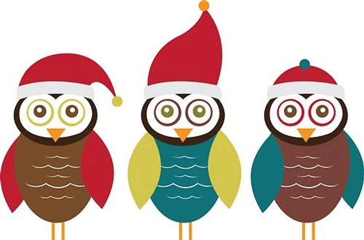 Christmas Owls
