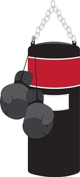 Boxing Bag