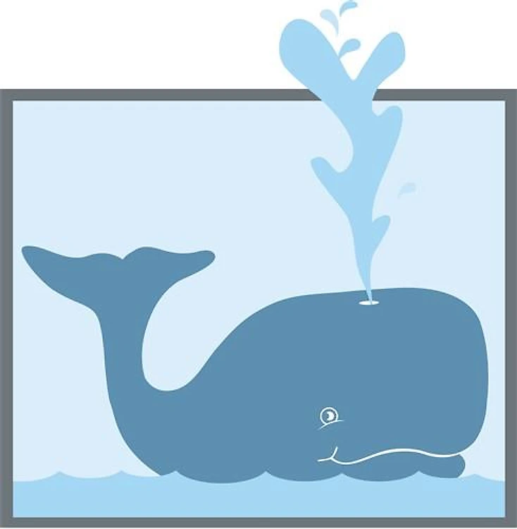 Whale Animal