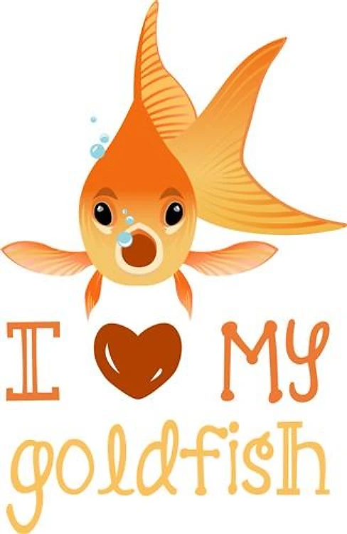 Goldfish Love